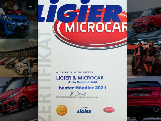 LIGIER JS 50 Elite mit / Bild 20 für Fahrzeug 155836162